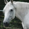 (O: :: Odbieram telefon, a w nim słyszę Twój głos ...
Uwielbiam tą piosenkę ..... bowiem Ty mi ją śpiewasz (O: :: Odbieram telefon, a w nim słyszę Twój głos ...
Uwielbiam tą piosenkę ..... bowiem Ty mi ją śpiewasz