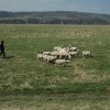 191. Półprodukty  :: Leje. Głowa kołysze mi się niebezpiecznie, lewo prawo, lewo prawo, w takt resorowanego bujania nasze 