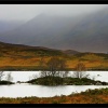 Rannoch Moor - tam gdzie żyją szkockie skrzaty... :: Rannoch Moor - tam gdzie żyją szkockie skrzaty... ::