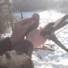 samica z pochodzeniem   :: Jest Ona u mnie dllatego ze jest po narawde ładnych rodzicach 