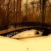 Pszczyna-Park  ::  