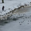 Podzielmy się... nie jesteśmy sami   ::  