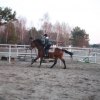 Kocham   :: Zdjęcie z pon ogólnie bardzo dobrze(znaczy w stajni i na jeździe bo u mnie..a różnie). Sezon uważam  