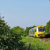 SA138-003  :: Osobówka relacji Hel - Gdynia Główna jedzie szlakiem z Zelistrzewa dojeżdżając do stacji Mrzezino. 