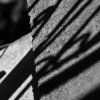 wzorki w B&W :: wzorki w B&W ::