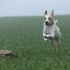 Jack   :: Znajdz i polub mnie na Fbooku:
http://www.facebook.com/pages/Mayaq-photography/277666201061

Zaprasz 